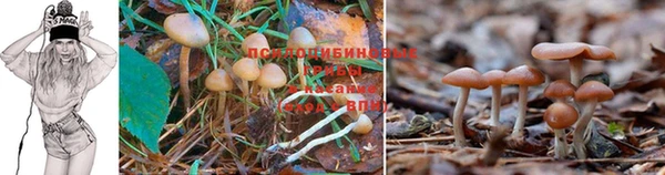 герыч Елизово