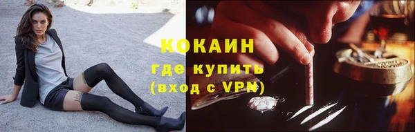 индика Балахна