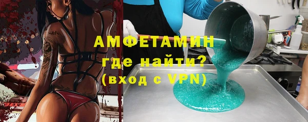 гашик Ельня